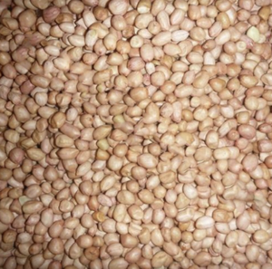 Arachides décortiquées durables du Vietnam, adaptées à une large gamme d'utilisations alimentaires, y compris la formation de collations et la friture. - Product Image 2