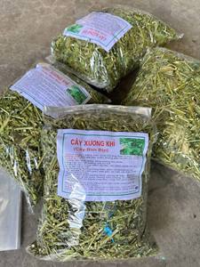 Planta Herbaria Tradicional de Vietnam Clinacanthus Nutans / Hierba de Hierba de Serpiente Seca al por Mayor - Product Image 6