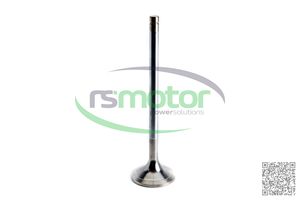 Válvula de entrada de piezas originales de Venta caliente MWM RS-12420827 adecuada para TBG 604 ; TBG 620 ; TCG 2020 ; CG 170 - Product Image 6