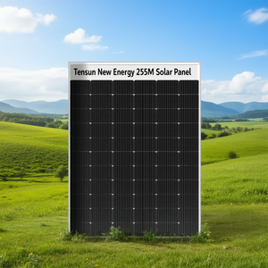 Panel Solar Tensun New Energy 255M - Product Image 3