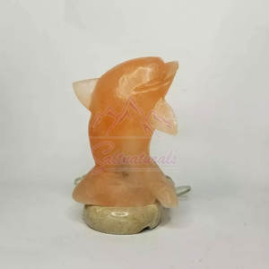 Buen precio elegante forma de delfín 100% lámpara de sal natural del Himalaya nuevo Stock estilo de amor elegante lámpara de sal del Himalaya - Product Image 5