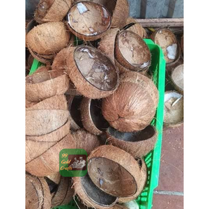 CÁSCARAS DE COCO CRUDAS DE CALIDAD PREMIUM PARA LA FABRICACIÓN DE CARBÓN Y EXPORTACIÓN DE ARTESANÍA PROVEEDOR DE VIETNAM - Product Image 6