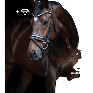 Brida de cuero ecuestre con logotipo personalizado, brida de caballo occidental con costuras elegantes, características de seguridad, bolsa de brida de carreras incluida - Product Image 5