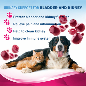 Traitement Naturel des Infections Urinaires pour Chats et Chiens - Soutien Rénal et Vésical à l'Arbousier - Liquide à Absorption Rapide pour la Santé des Animaux - Product Image 4