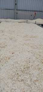 กล่องเครื่องชั่งปลานิลจากเวียดนาม-แอนนาทำจากดีไซด์แห้ง - Product Image 6