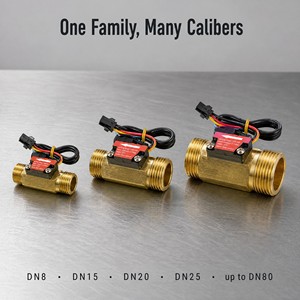 SEA DIJIANG DN8-DN80 정량 충전 유량 컨트롤러 LCD 배치 미터 솔레노이드 밸브 키트 물/오일 정량 공급 OEM - Product Image 6