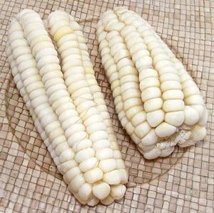 Maïs blanc sec agricole non-OGM en vrac, maïs séché non-glutineux brésilien avec une pureté de 99,99 % et des sacs PP de 25/50 kg - Product Image 3
