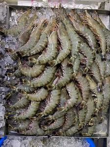 Camarones congelados blancos al por mayor de alta calidad 100% Camarones congelados de la mejor calidad Camarones congelados a la venta a precio barato - Product Image 2