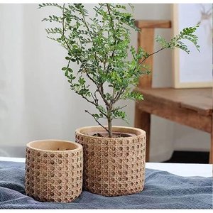 Handmade Planters Customized Design & Size Decorative Net Planters Rattan Net Planters Flower Pots for Indoor Outdoor Planting - Product Image 4
