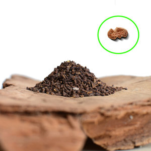 Peganum Harmala |   Herbe aromatique |   Offre en Gros de Produits Naturels |   Niveau A1 |   Durée de conservation de 3 ans |   PK Origin - Product Image 3