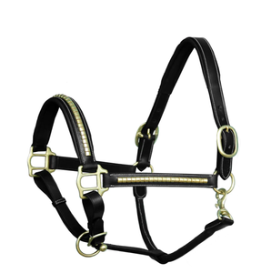 Halter en cuir rembourré saisonnier Clincher - Product Image 6