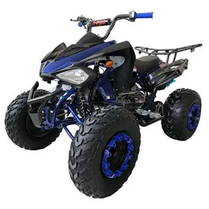 2023 X-PRO panter 200 yetişkin gençlik için spor ATV Quad dört tekerlekli, ücretsiz kargo