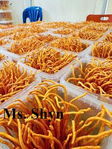 Fournisseur de Cordyceps sec Champignon Militaris-Cordyceps lyophilisé Organique Cordyceps Militaris séché-Ms. Shyn - Product Image 2