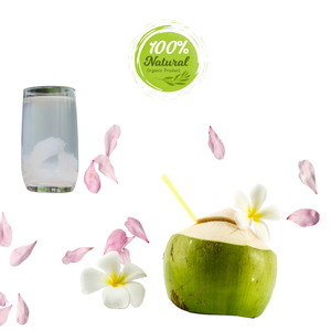 มะพร้าวสดเวียดนามทางเลือกของผู้บริโภคสมัยใหม่ผลิตภัณฑ์ทางการเกษตรคุณภาพสูง - Product Image 6