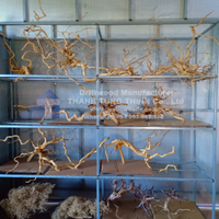 Produit chaud 2025 bois flotté naturel pour la décoration d'accessoires de réservoir de poissons avec le meilleur prix
