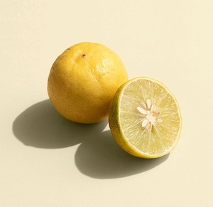 Frutos de Coco Orgánico Congelado HP Valia de Buena Calidad, 100% Congelado, para Bebidas, Uso Culinario y Aplicaciones Saludables, 100 kg - Product Image 4