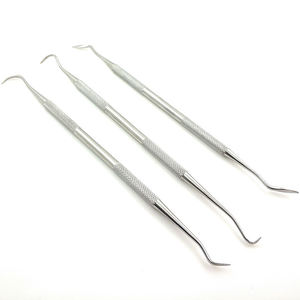Kit de soins bucco-dentaires manuel de qualité en gros 2026, 6 pièces, instruments dentaires en acier inoxydable, qualité A+ - Product Image 5