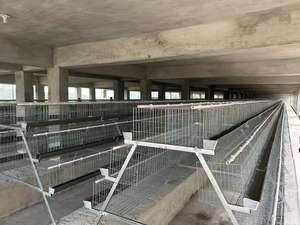 Cage à batterie en acier Zhongnuo ZN3-96 avec système d'abreuvement automatique, garantie 1 an, état neuf, prix économique, longue durée de vie - Product Image 2