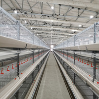 Gallinero Moderno de Acero Galvanizado con Diseño de Granja Avícola y Sistema Automatizado para la Prevención de la Gripe Aviar y Baja Mortalidad
