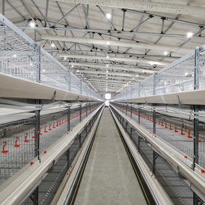 Structure moderne en acier galvanisé pour poulailler, conception de ferme avicole avec système automatisé pour la prévention de la <span class=keywords><strong>grippe</strong></span> aviaire, faible mortalité - Product Image 5