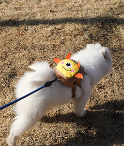 กระเป๋าเป้สัตว์เลี้ยงน่ารักสำหรับไก่ กระเป๋าใส่ขนมไนลอนสำหรับฤดูหนาว ระบายอากาศได้ดี อุ่นสบาย ลวดลายเรขาคณิตสไตล์ตะวันตก สำหรับพกพาออกนอกบ้าน - Product Image 6