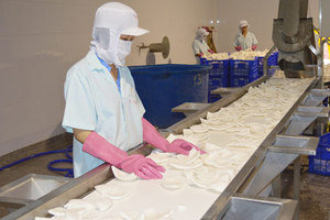 La mejor carne de coco congelada de Vietnam: Blanca, totalmente natural para dulces y helados, exportación directa de los principales proveedores a nivel mundial - Product Image 4