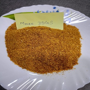 Top Quality Maize DDGS with 100% Pure Natural Animal Food Grade Maize DDGS for Sale - Product Image 3