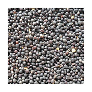 100% semillas de colza/canola secas naturales de la mejor calidad, productos agrícolas crudos, precios al por mayor de la fuente del fabricante - Product Image 2