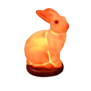 Lampe de sel rose en forme d'animal, himalayenne, naturelle, artisanale, fournisseur en gros du Pakistan - Product Image 4