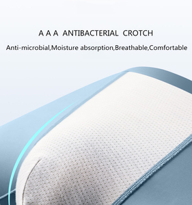 Échantillons gratuits Vente en gros 100% coton Hip Hop Boxer Shorts Cooling Feel Ice Silk Soft Seamless Sous-vêtements personnalisés grande taille pour hommes - Product Image 2