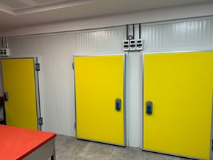Porta cella frigorifera modello 1