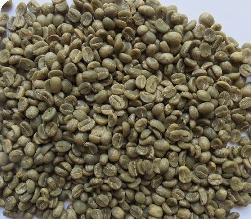 BEST SELLING Whole Green Bean Coffee - Robusta/Arabica Common Coffee Beans - Best Selling At Good Price - HANCOFFEE Manufacturer