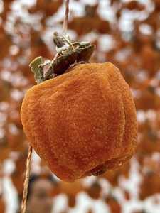 ลูกพลับอบแห้งพรีเมียม รสหวานธรรมชาติ ผลไม้ทั้งลูก จำหน่ายจำนวนมาก ผลิตในเวียดนาม - คุณทารินา - Product Image 3