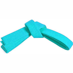 Precio al por mayor cinturones de artes marciales cinturones de colores de artes marciales personalizables - Product Image 4