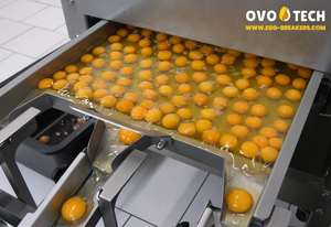 Rompehuevos OVO-TECH RX-4, Caja de Engranajes para Máquina de Romper Huevos, Alimentador de Correa Autoajustable, Capacidad de 26000 Huevos/Hora, Motor Comercial - Product Image 4