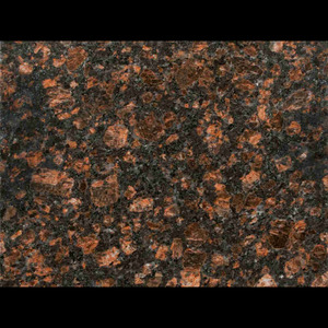 Surface polie de partie supérieure du comptoir de granit de Brown Tan noir et de Purewhite de beauté naturelle de conception moderne avec un large spectre des nuances - Product Image 3