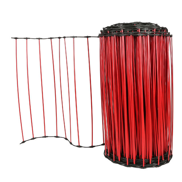 แดง &amp; ดำ