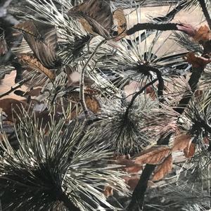 Max 4 Realtree Camouflage Tissu PE Enduit Imprimé Grande Feuille Arbre Camo Aveugle Imperméable Respirant En Plein Air Chasse Costume Manteau - Product Image 5