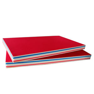 Tapis de sol personnalisés pour la lutte Judo MMA tapis pliable Karaté Taekwondo Tatami Aikido Tapis de sol - Product Image 6