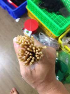 Extensions de cheveux vietnamiennes naturelles Remy 100% Kératine brute à double pointe frontale et paquet en gros du Vietnam - Product Image 5