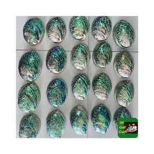 越南贝壳美甲抛光生鲍鱼壳自然仙女材料仿古批发低价珍珠母