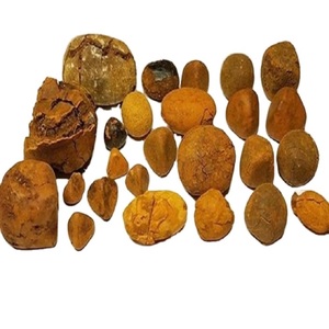 Ulk Sample-piedras de vaca natural, 10g, Ox gallstones Ox Cow gallstones bezoar - Product Image 1