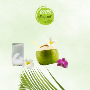 ผลิตภัณฑ์เพิ่มความชุ่มชื้นจากธรรมชาติมะพร้าวสดจากเวียดนามจากผลิตภัณฑ์ทางการเกษตร - Product Image 3