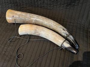 Cuerno Vikingo Tradicional Hecho a Mano con Cuerno Natural de Vaca - Product Image 4