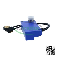 Knock Sensor Jenbacher RS-629995 le produit