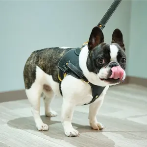 High quality stylish senior leather adjustable outdoor pet dog harness