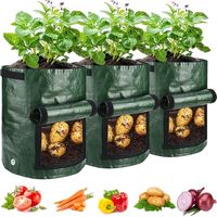 Sacs de plantation de pommes de terre en tissu non tissé vert foncé respirant biodégradable, design européen et américain, 1 à 10 gallons, pour jardin