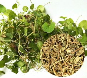 ใบบัวบกบริสุทธิ์ใบบัวบกแห้งแห้งใบบัวบก - Product Image 3