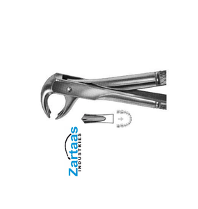 Pince d'extraction en acier inoxydable de haute qualité molaires inférieures fig 73S exportateurs et fabricant - Product Image 4