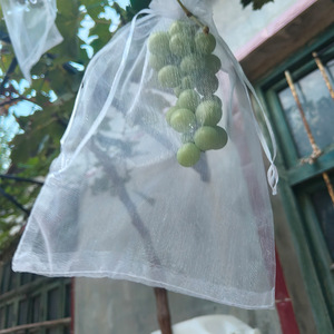 Sacs de <span class=keywords><strong>protection</strong></span> pour plantes avec cordon de serrage 8x12 pour <span class=keywords><strong>fruits</strong></span>, figues, fleurs, <span class=keywords><strong>protection</strong></span> <span class=keywords><strong>contre</strong></span> les <span class=keywords><strong>oiseaux</strong></span> et les insectes, jardinage, agriculture - Product Image 2